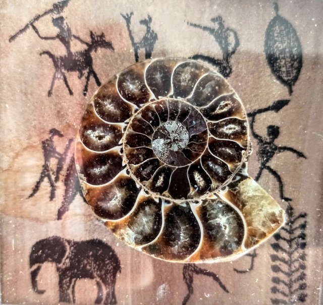 2 Marcos con 2 AMMONITES reales.