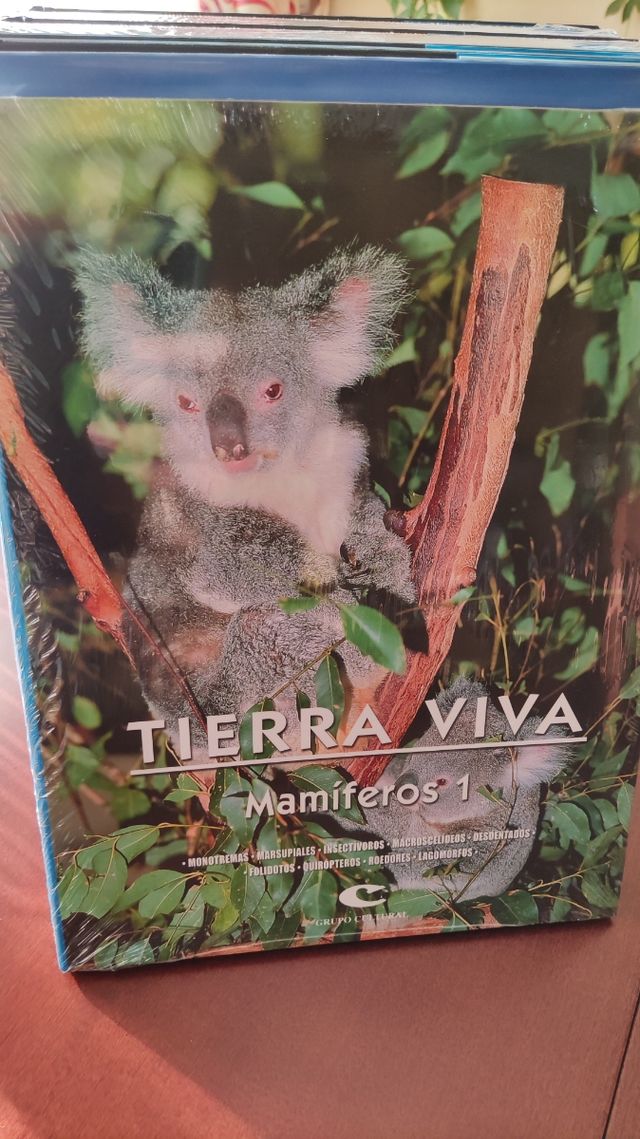 Colección tierra viva