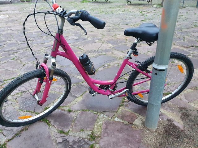 Bicicleta paseo
