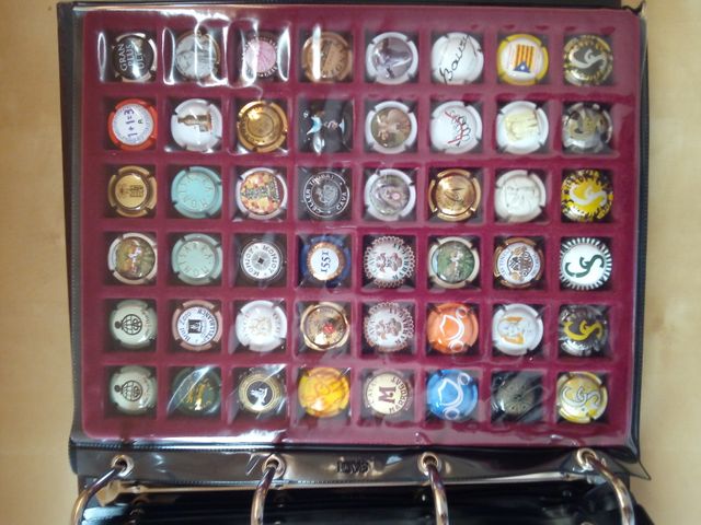 Colección chapas de cava