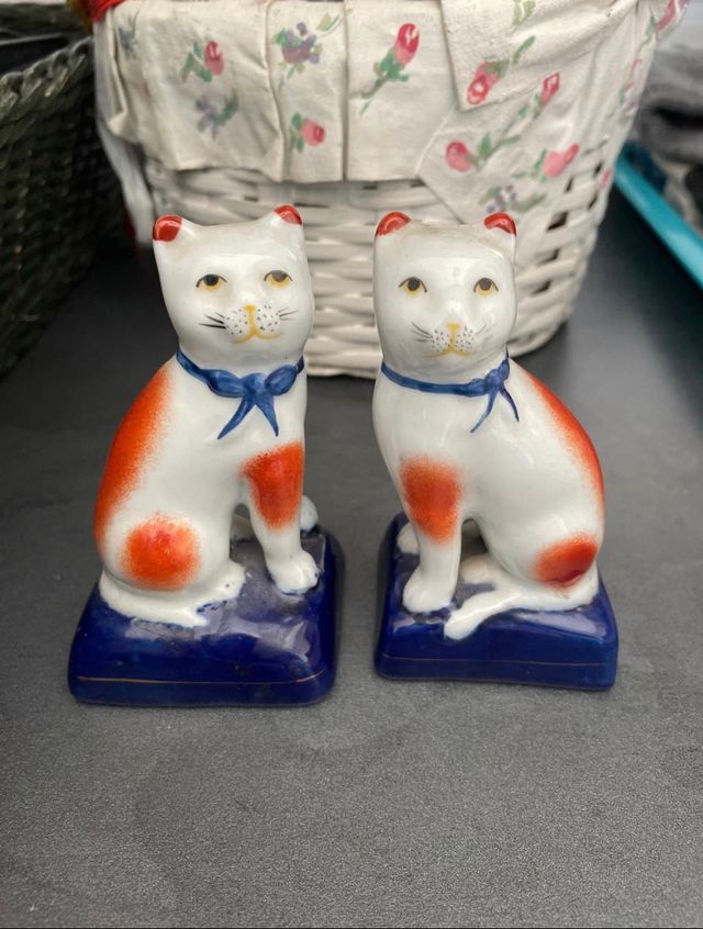 Pareja perros. Pareja gatos