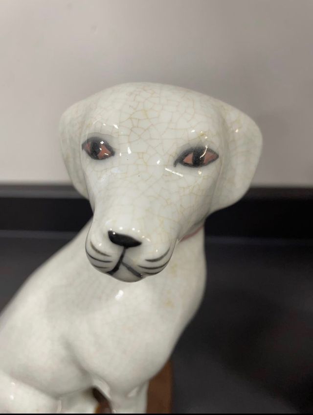 Pareja perros. Pareja gatos