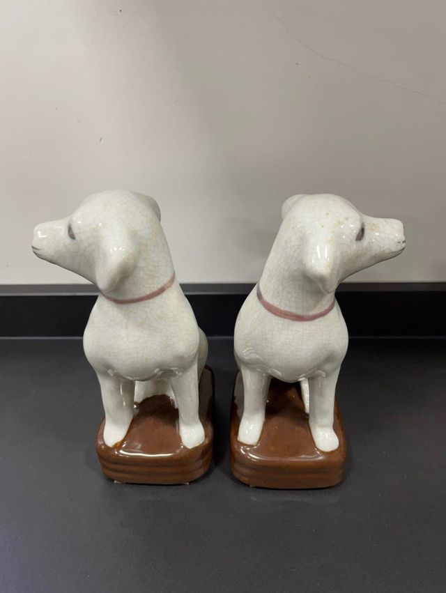 Pareja perros. Pareja gatos