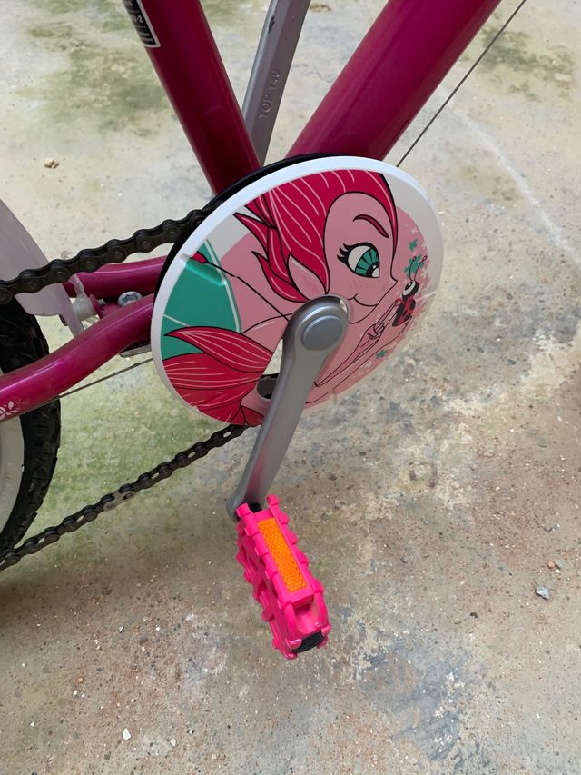 Bicicleta niña 5a9 años.