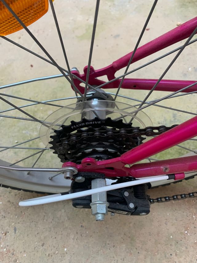 Bicicleta niña 5a9 años.