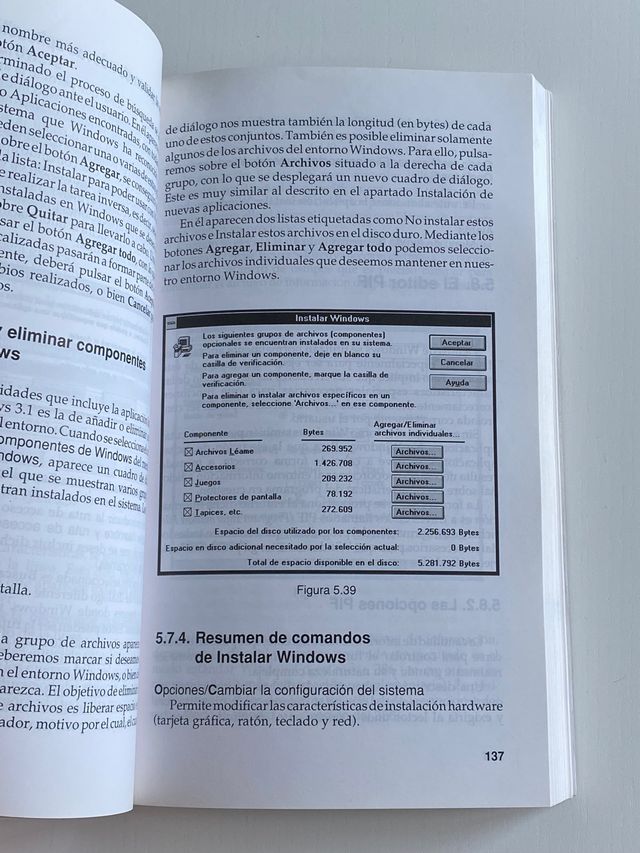 Guía de Windows 3.1 de ANAYA