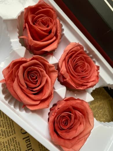 JT OUTLET Lote de Flores Preservadas de segunda mano por ...