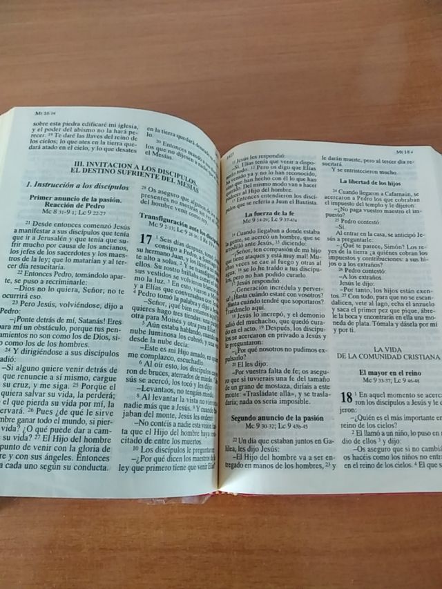 la Biblia y el nuevo testamento