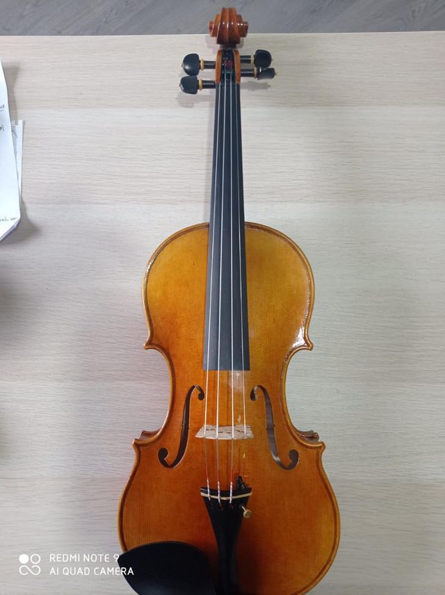 violin 4/4   Guarneri del Gesù