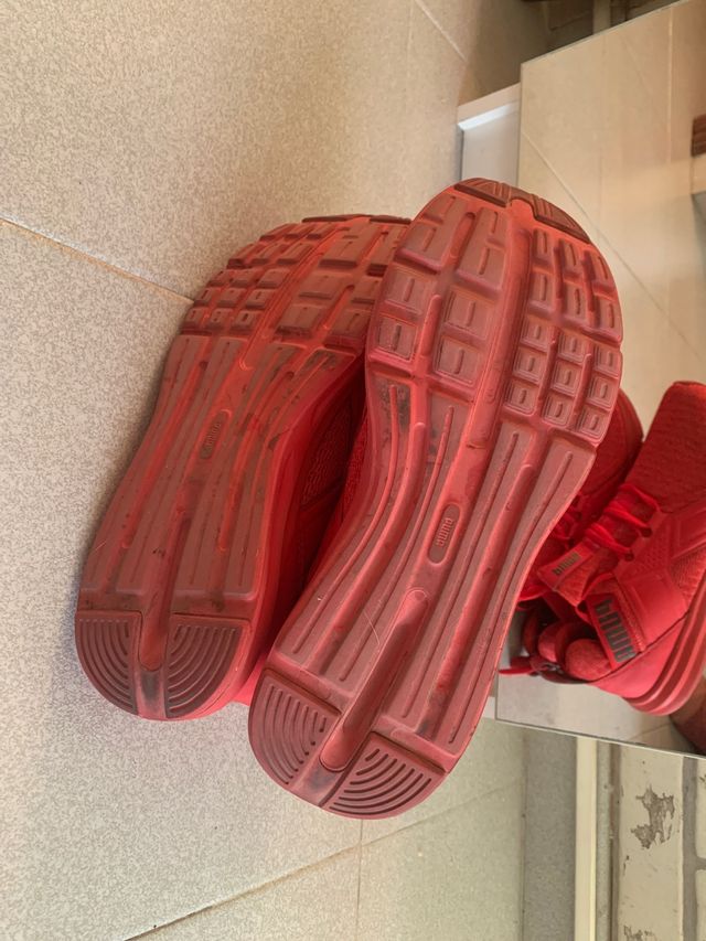 Deportivas Puma rojas 