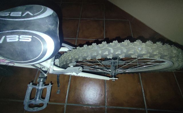 Bicicleta Avico Flower 24Girl