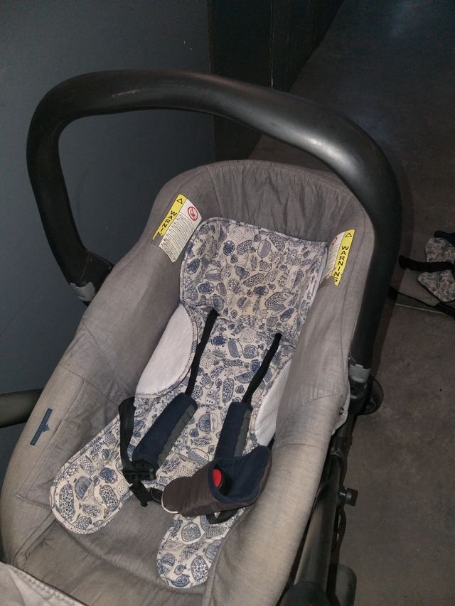 Carro Jane Rider Matrix