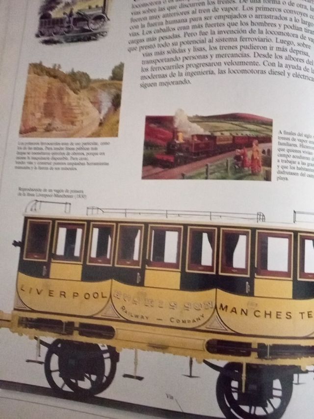 Medios de Transporte