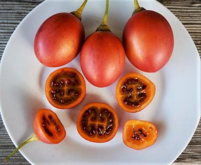 Semillas de TAMARILLO (tomatera de árbol)