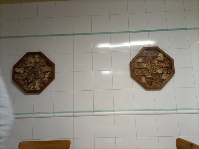 Cuadros con flores naturales