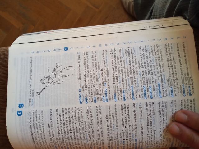 OCASIÓN!!DICCIONARIO BÁSICO LENGUA ESPAÑOLA