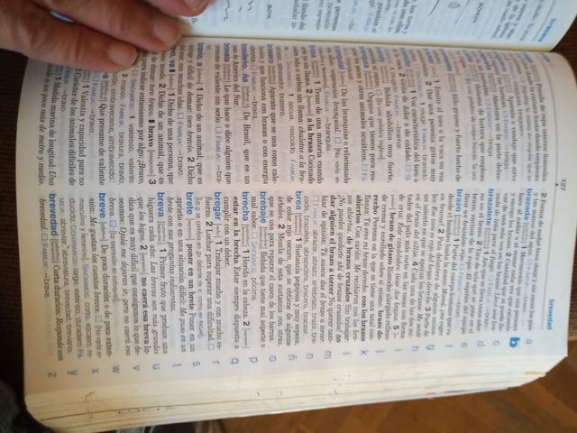 OCASIÓN!!DICCIONARIO BÁSICO LENGUA ESPAÑOLA