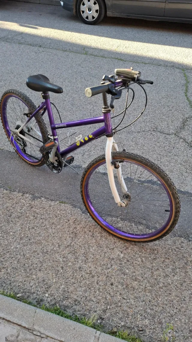 varias bicicletas
