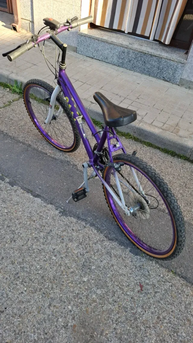 varias bicicletas