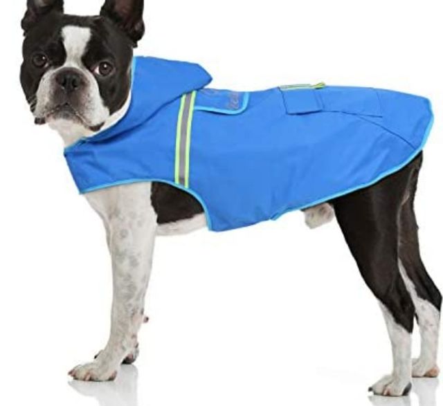 Chubasquero perro