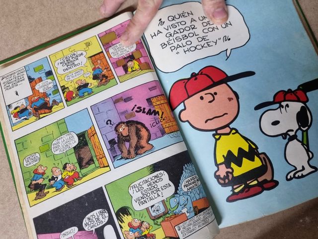 Carlitos y los cebollitas