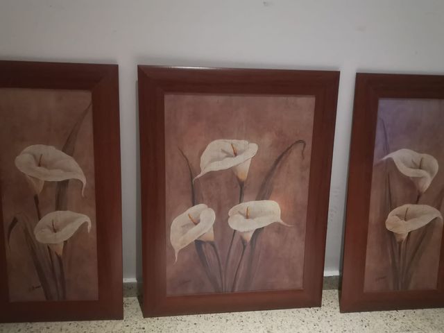 Cuadros Decorativos