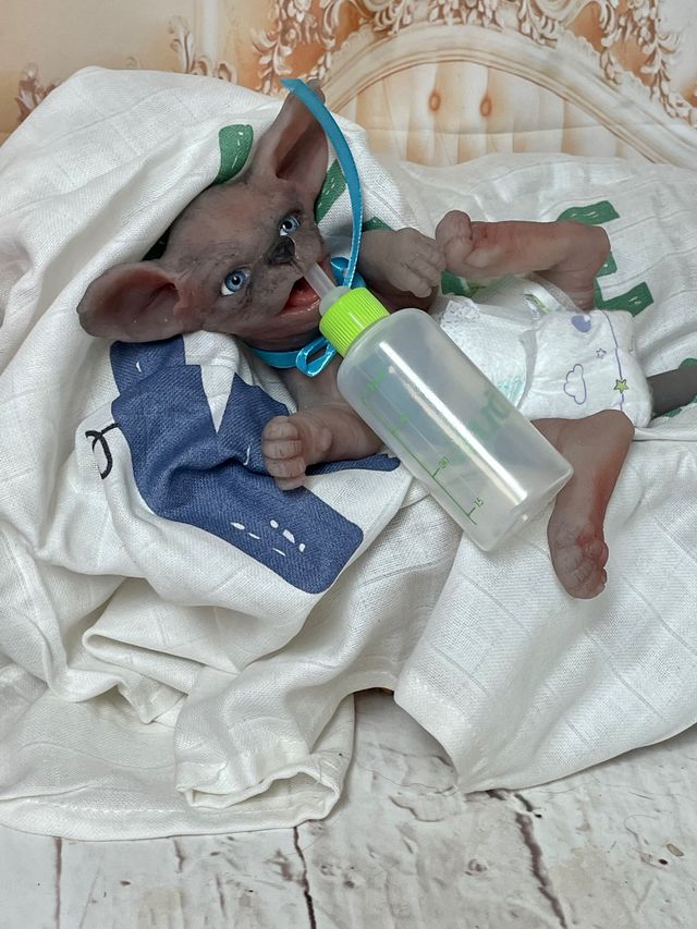 Reborn silicona gato 17 cm