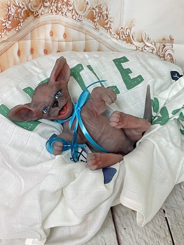 Reborn silicona gato 17 cm