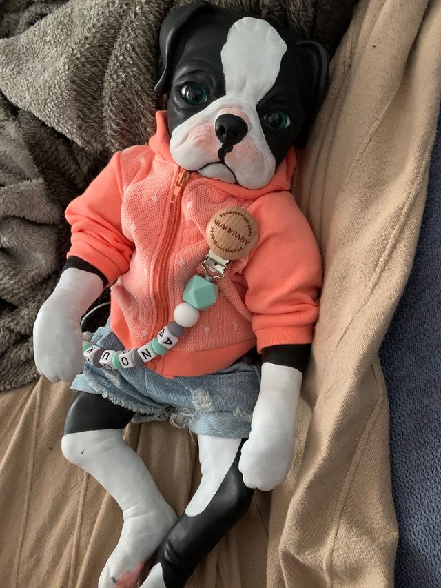 Bebe Reborn Princess Pug Denisse Pratt 