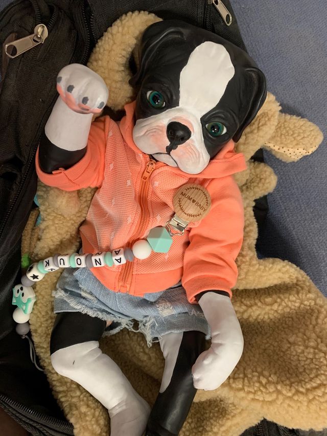 Bebe Reborn Princess Pug Denisse Pratt 