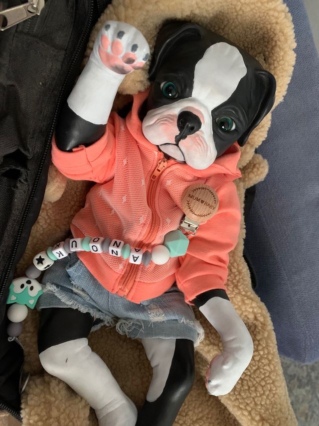 Bebe Reborn Princess Pug Denisse Pratt 