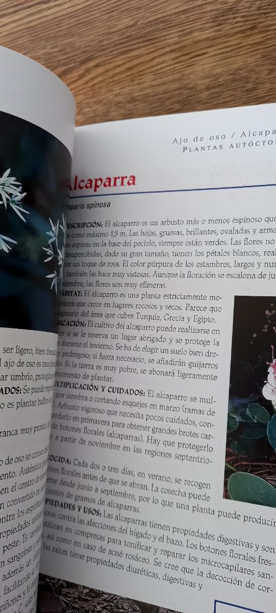 libro Plantas aromaticas y culinarias 