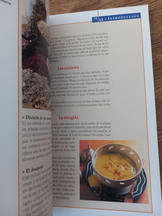 libro Plantas aromaticas y culinarias 