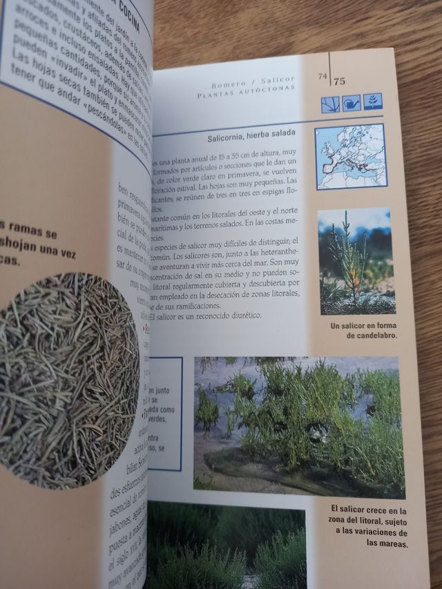 libro Plantas aromaticas y culinarias 