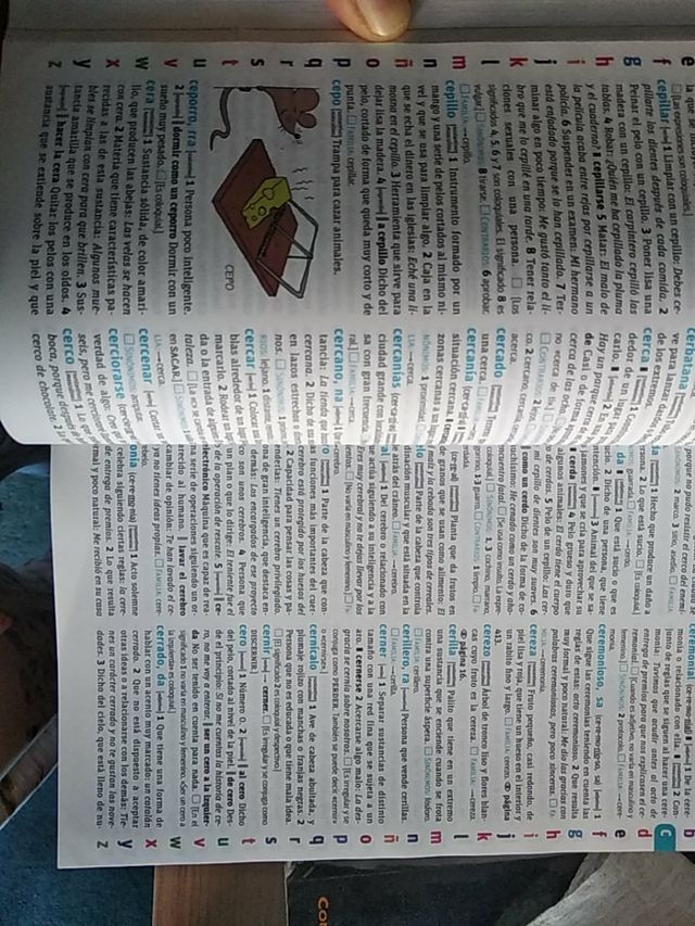 Diccionario lengua española