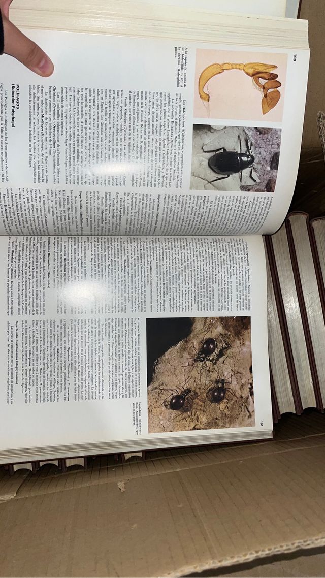 SALVAT MUNDO ANIMAL VEGETAL ECT COLECCIONES COMPLE