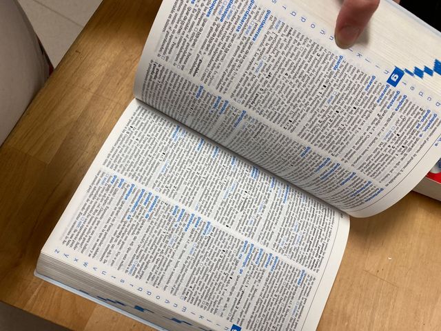 Diccionario Español