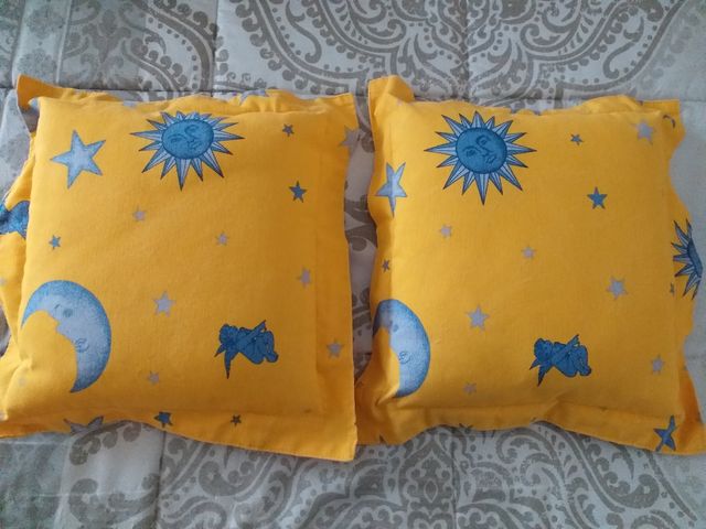 Lote 2 cojines