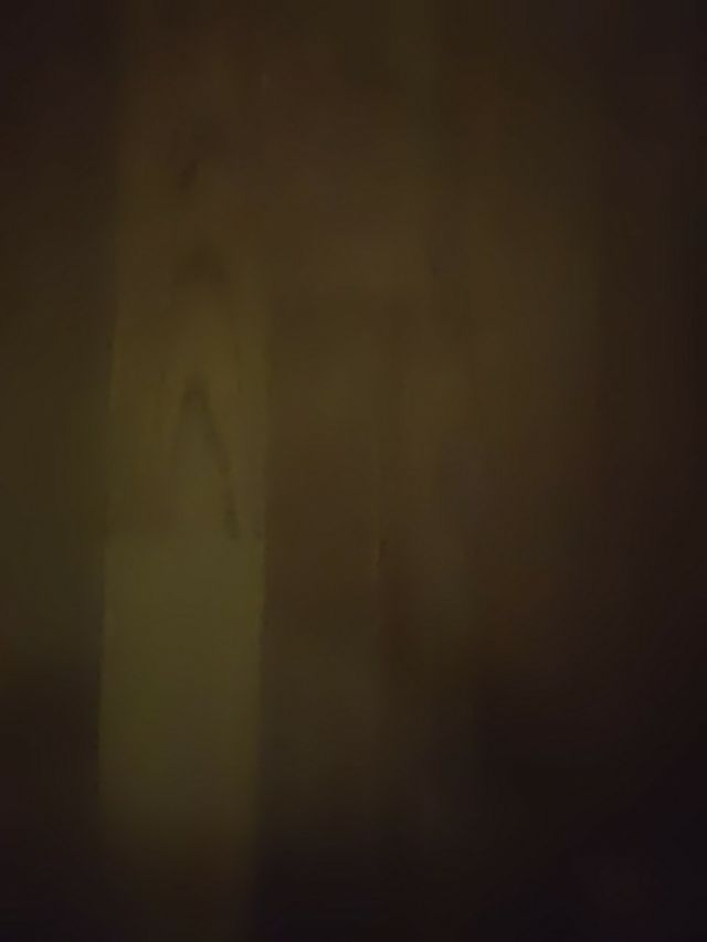 libros dyd dragón negro, catacumbas 