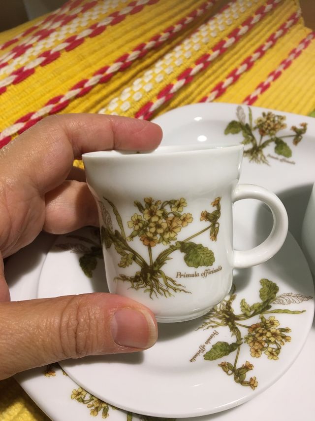 Set Caffè Creation Exclusive MF, T.Limoges