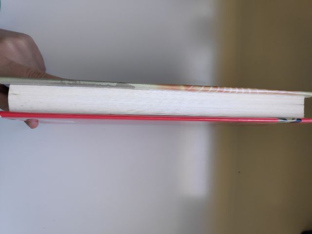 libro juvenil el dilema de ypsilon