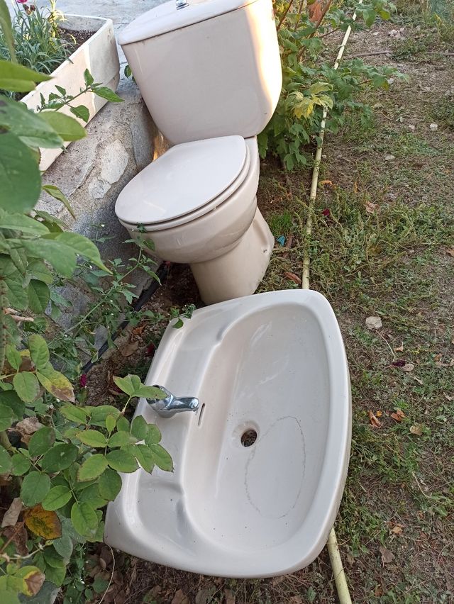 Taza y lavabo. Marca Roca.