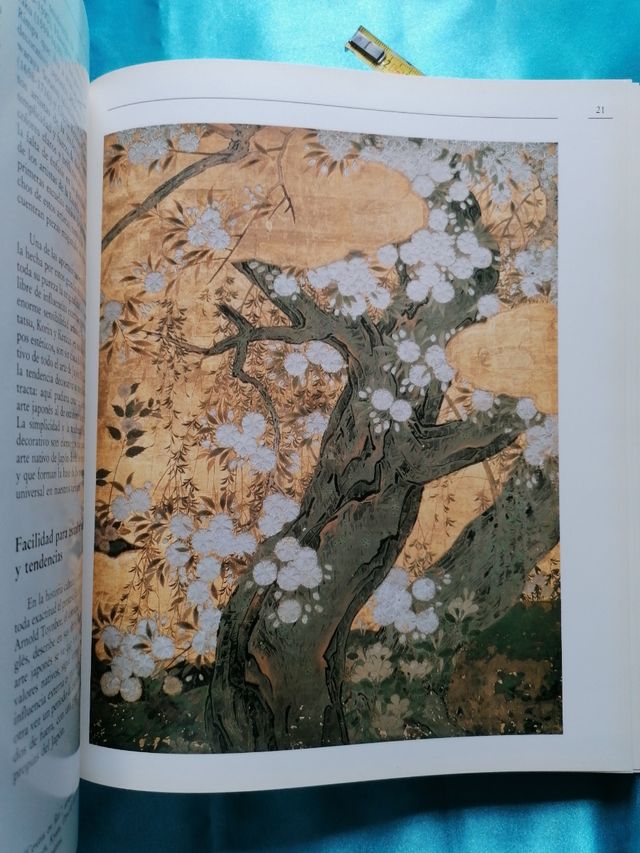 ARTE. JAPÓN Y OCCIDENTE. LIBRO