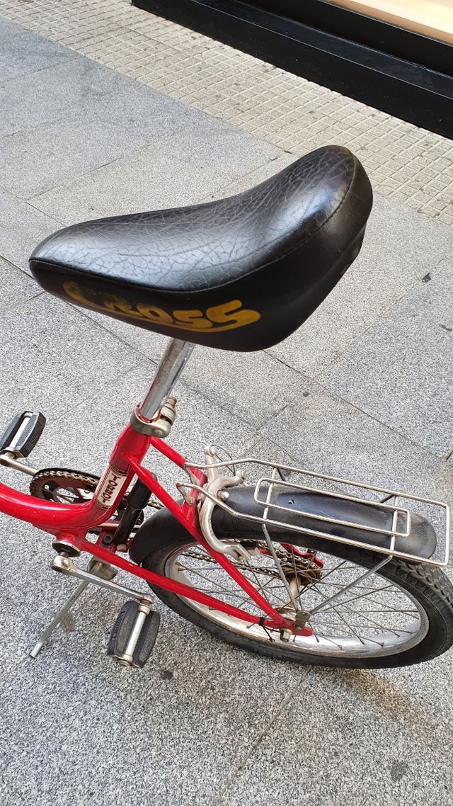 Bicicleta Torrot