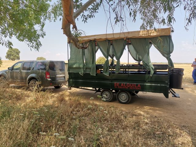 plataforma, remolque, jardinera, carriola