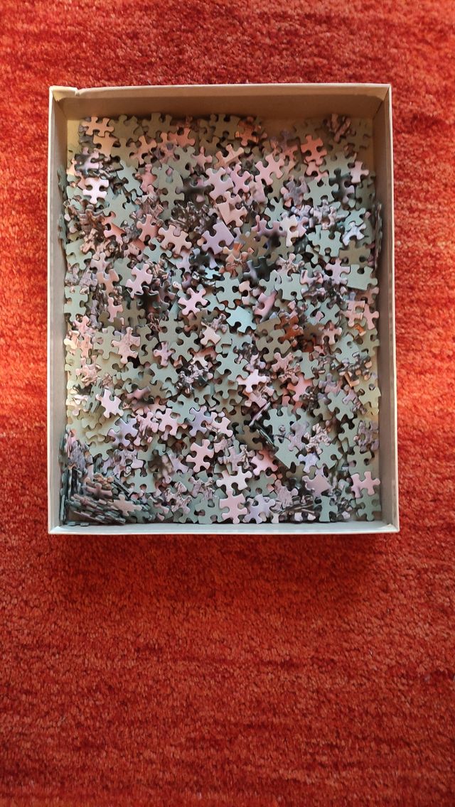 Puzzle 1000 piezas MB Neuschwanstein