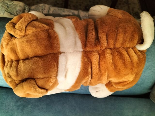 Oferta. Peluches Tigre Albino y Bulldog.