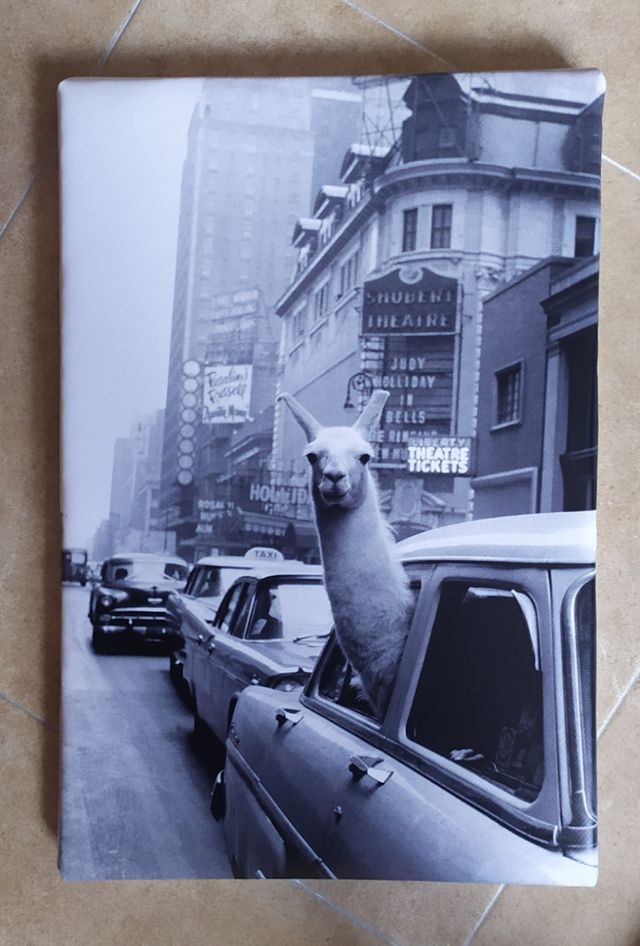 Cuadros DIVERTIDOS y FRIKIS a elegir