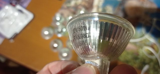 bombillas halógenas 12v 50w