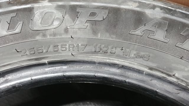 Dunlop AT20 GrandTrek